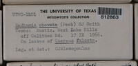 Image Associated With the Occurence